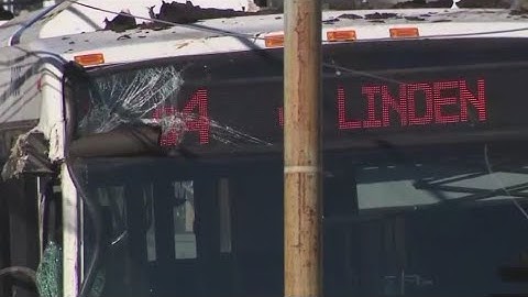 Alleged MTA bus-jacker