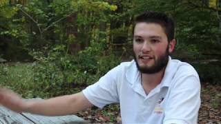 SilverLens S4E1: All That Buzz
