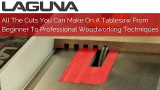 All The Cuts You Can Make On A Tablesaw From Beginner To Professional Woodworking Techniques
