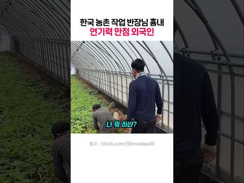 한국 농촌 작업 반장님 흉내 연기력 만점 외국인 ㅋㅋ thumbnail