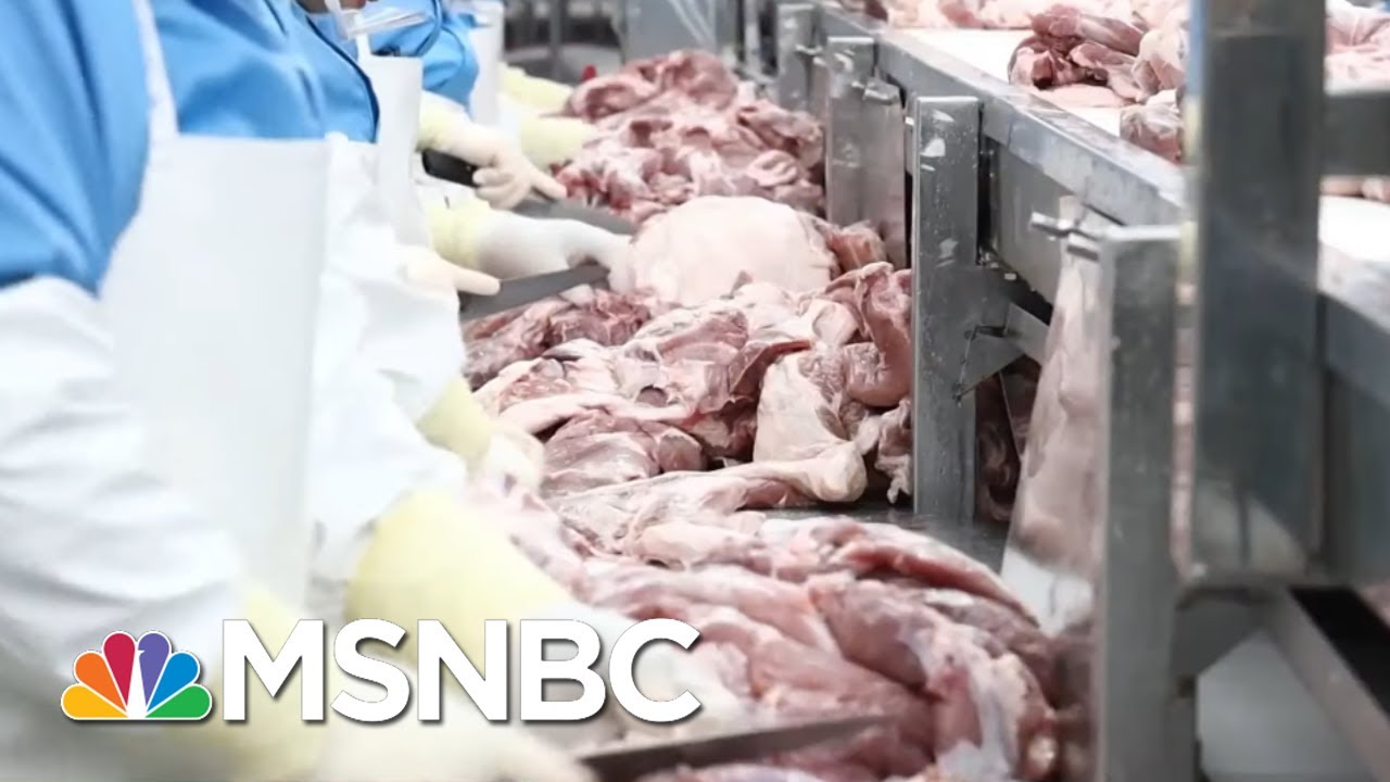 What If You Pretend COVID-19 Doesn’t Exist? Look At Meatpacking Plants For Answer. | All In | MSNBC