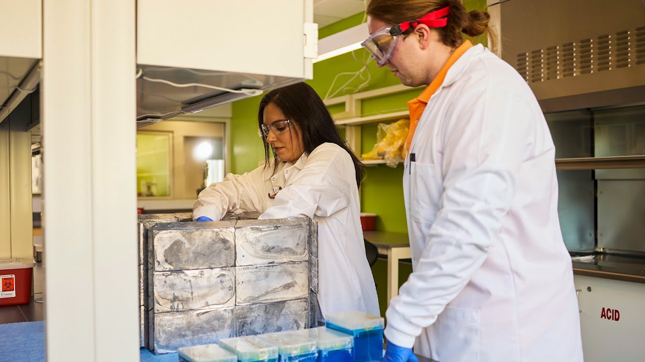 Engineering Vols Take on Cancer-Fighting Research