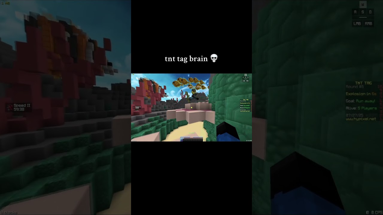 tnt tag intelligence 