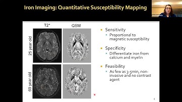 Brain Iron Accumulation as a Biomarker of Risk for Cognitive Decline in Aging and Dementia