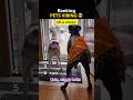 Pets Vibing Ranked! 🐶 #funny #cat #dog