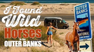 I Found Wild Horses in the Outer Banks | Vanlife