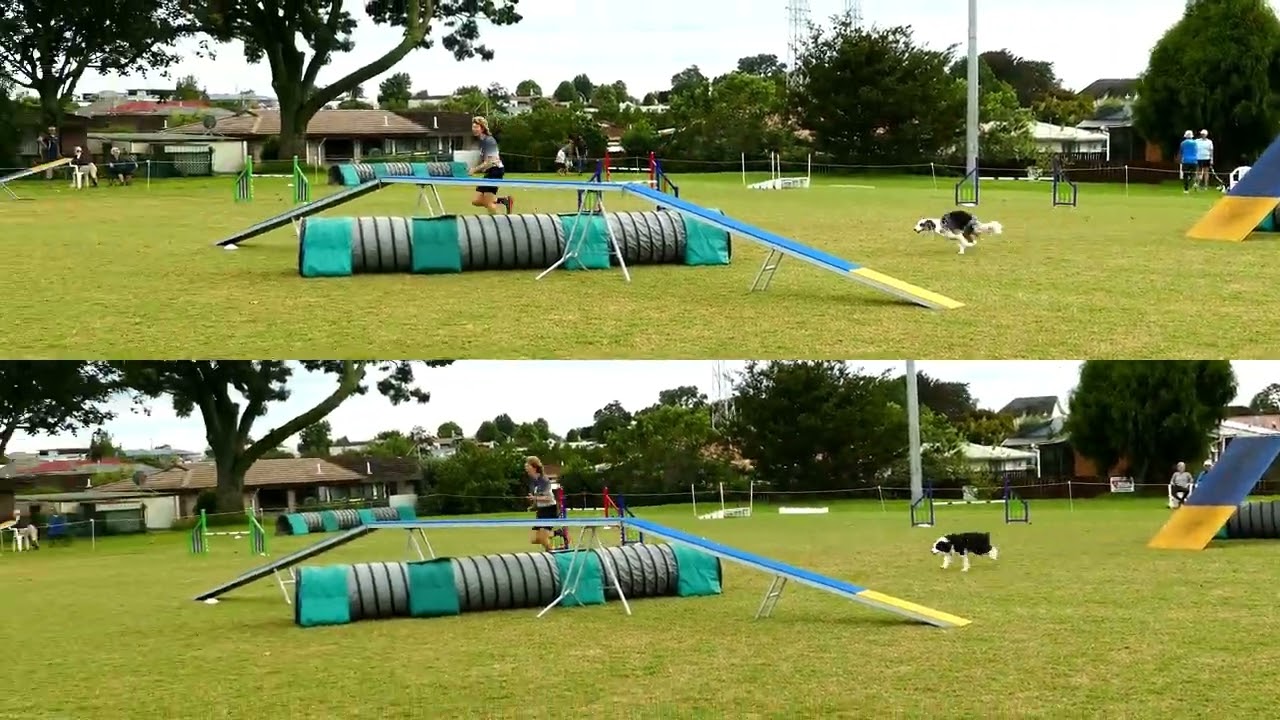 Sen3 & Int1, Tauranga 2026