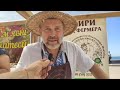 LIVE Бердянск  День Независимости Украины  Набережная  Фестиваль фермеров