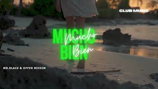 MR. BLACK & Offer Nissim - Mucho Bien