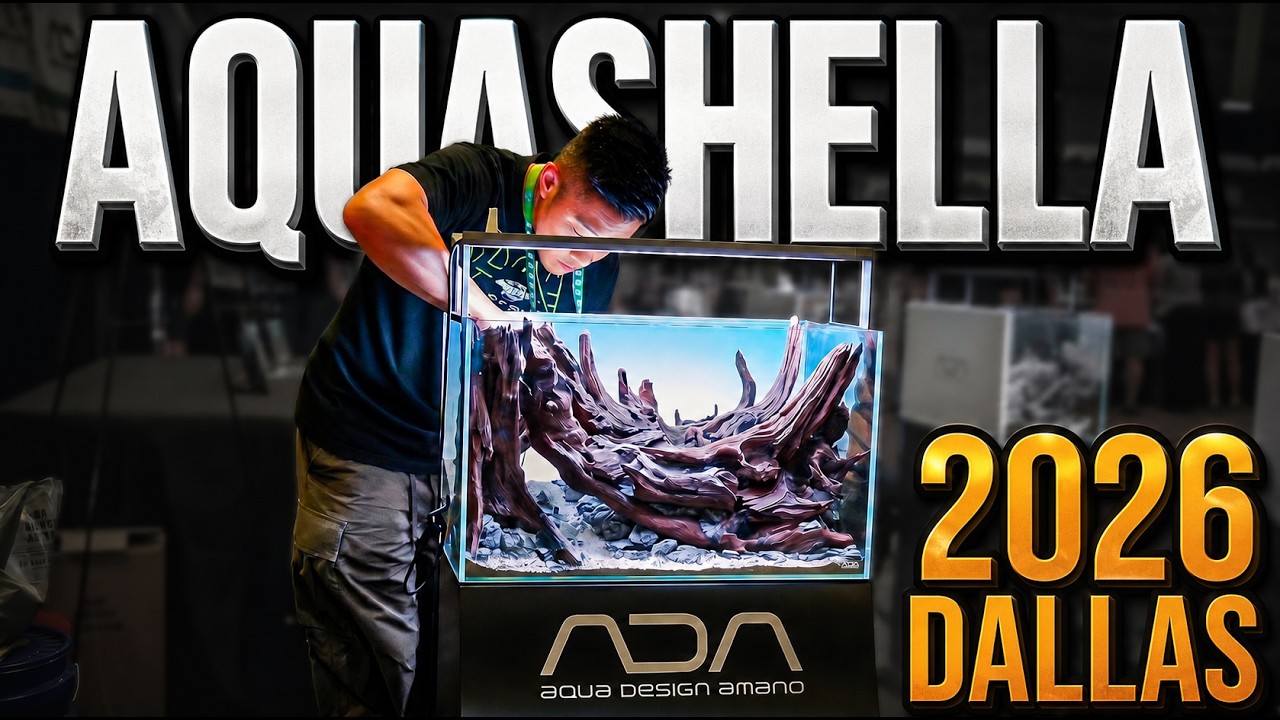 Aquashella Dallas 2026 — Insane Fish, Rare Breeders & New Gear