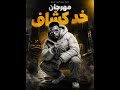 مهرجان خد كشاففين اراضيكوا الحط على حمو المرشدي اسلام كابونجا الدبابه توزيع فيجو الدخلاوي 2026 mp3