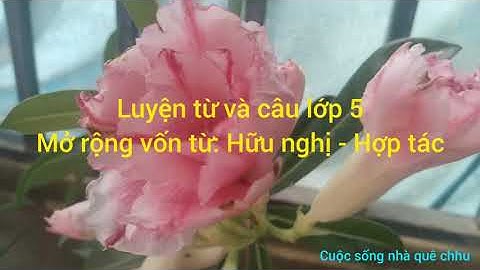 Luyện từ và câu lớp 5 _ Mở rộng vốn từ: Hữu nghị - Hợp tác _ Trang 56