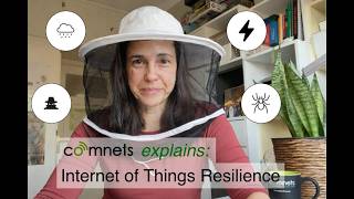 Resilience and Reliability in the Internet of Things