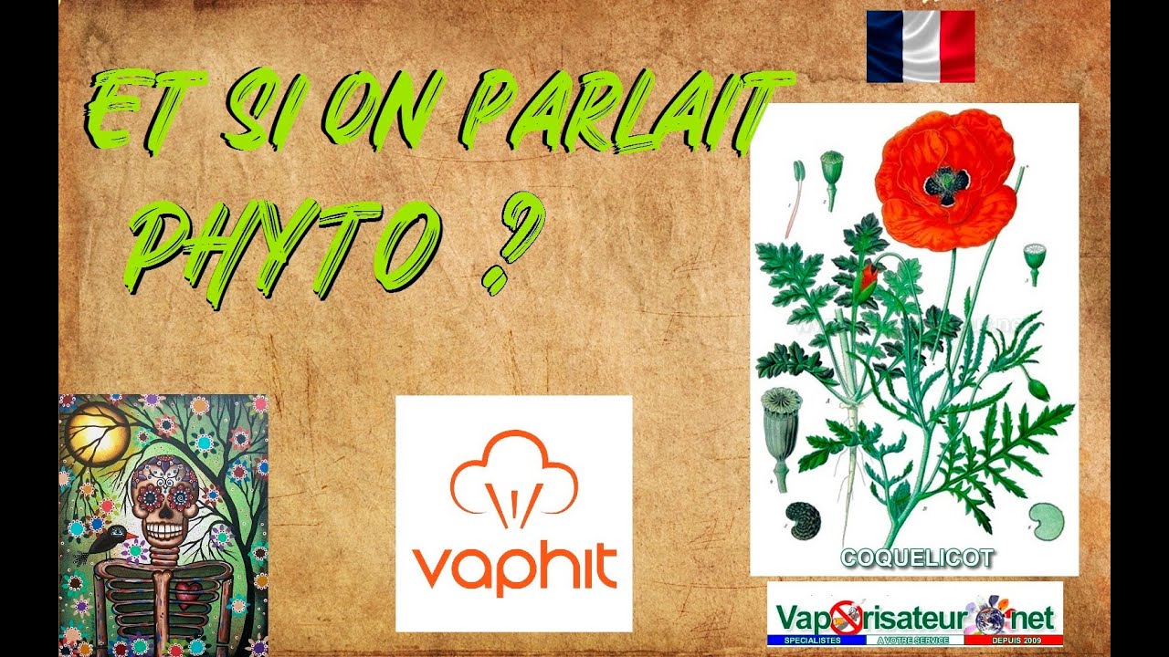 Vaporisation , Et si on parlait un peu phyto ? Démo avec Vaphit QHC