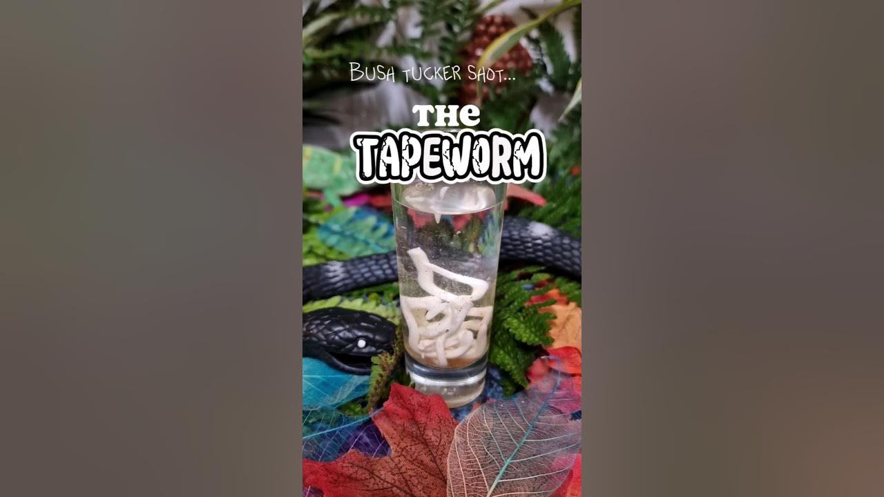 🪱The Tapeworm Shot..Are you up for the challenge?? shots viral 