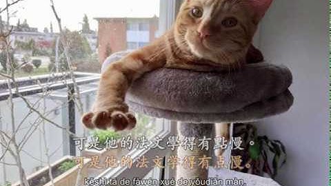 [Eng Sub] Practical Audio-Visual Chinese 1 Lesson 7 summary - languages & food [beginner]