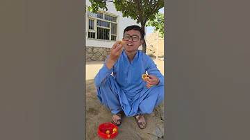 جای تان خالی روز های آخر زردالو 