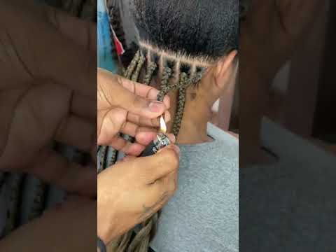 Video: Cómo prevenir los piojos en las rastas: 9 pasos (con imágenes)