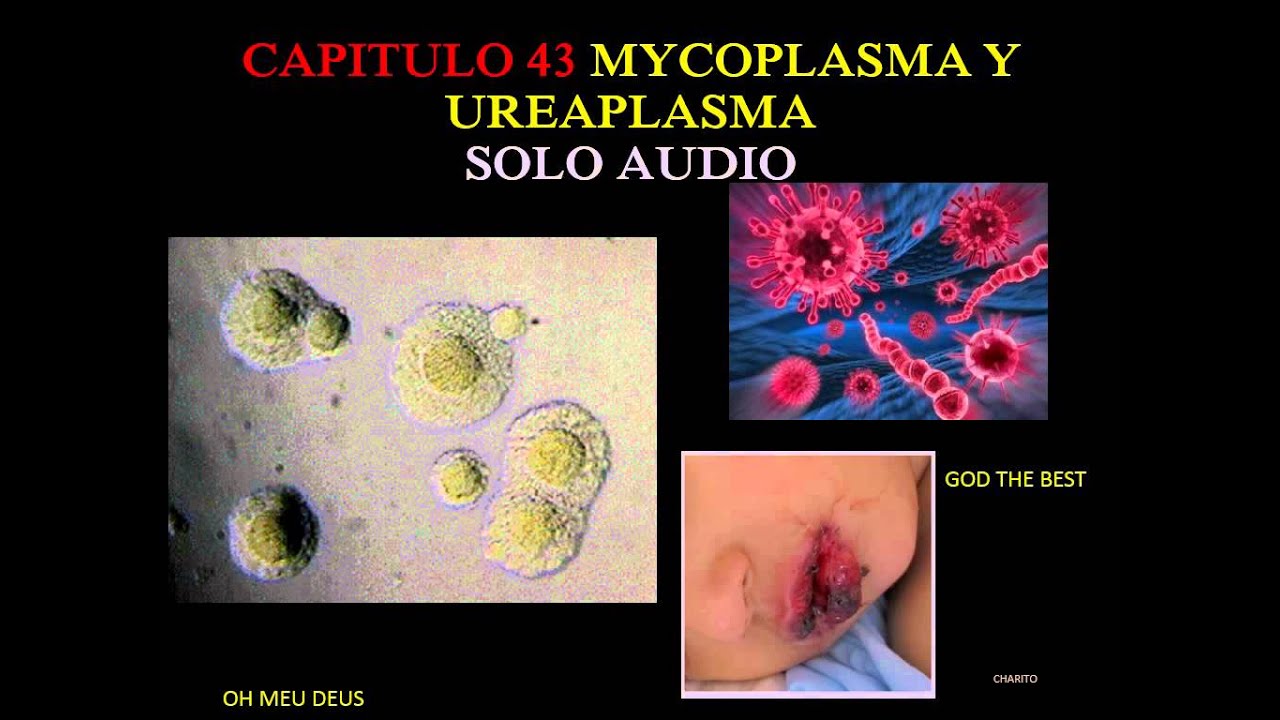 Ureaplasmosis és szemölcsök. Mycoplasma, ureaplasma