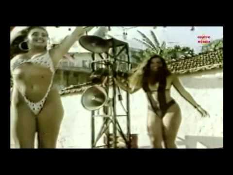 Eu queria ser uma abelha para pousar na sua flor Eu Queria Ser Uma Abelha Blog Frases Motivacionais