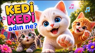 Kedi Kedi Adın Ne? 🐱 | Sevimli Kedi Şarkısı 🎵 | Çocuk Şarkıları