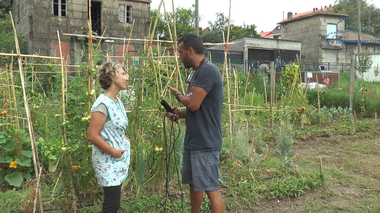 A horta ecolóxica comeza a dar os seus froitos.