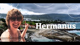 Things to do in Hermanus (Western Cape)