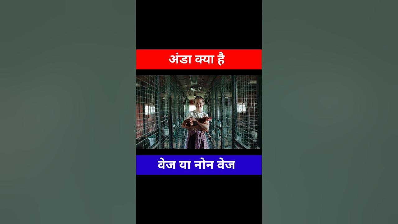 veg-non-veg-anda-veg-hota-hai-ya-non-veg-anda-veg-hai