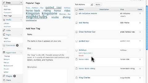 Managing Post tags in Wordpress Posts