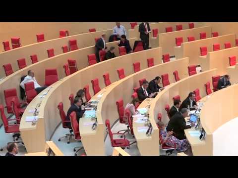 თვეზე ცოტა მეტი და საქართველოს ახალი პრეზიდენტი ეყოლება