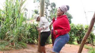 Chinkondi Vicky young Gusii nation challenge,kemunto , kebenchegere and the whole cast dancing  ...