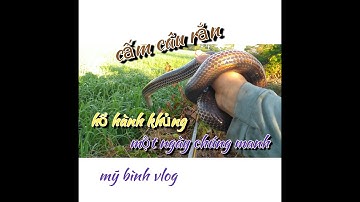 cấm câu rắn hổ hành, dính thấy ham ở phúc cuối, Thanh Lên vlog #17 #ThanhLenvlog