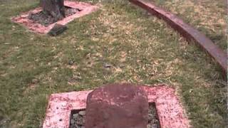 Ancient 4000 Year Stone Cat Sculptures In The Andes Of Peru