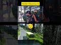 #sehar