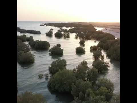 محمية مروح البحربة