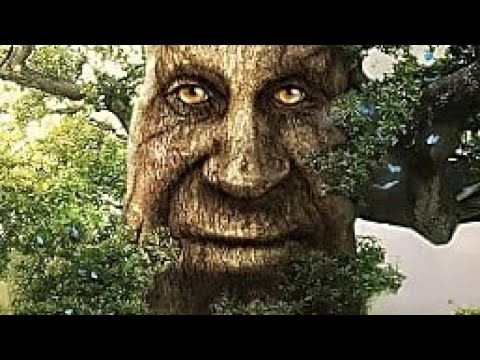 What are some games that will keep me up all night?, Wise Mystical Tree /  If You're Over 25 and Own a Computer, This Game Is a Must-Have