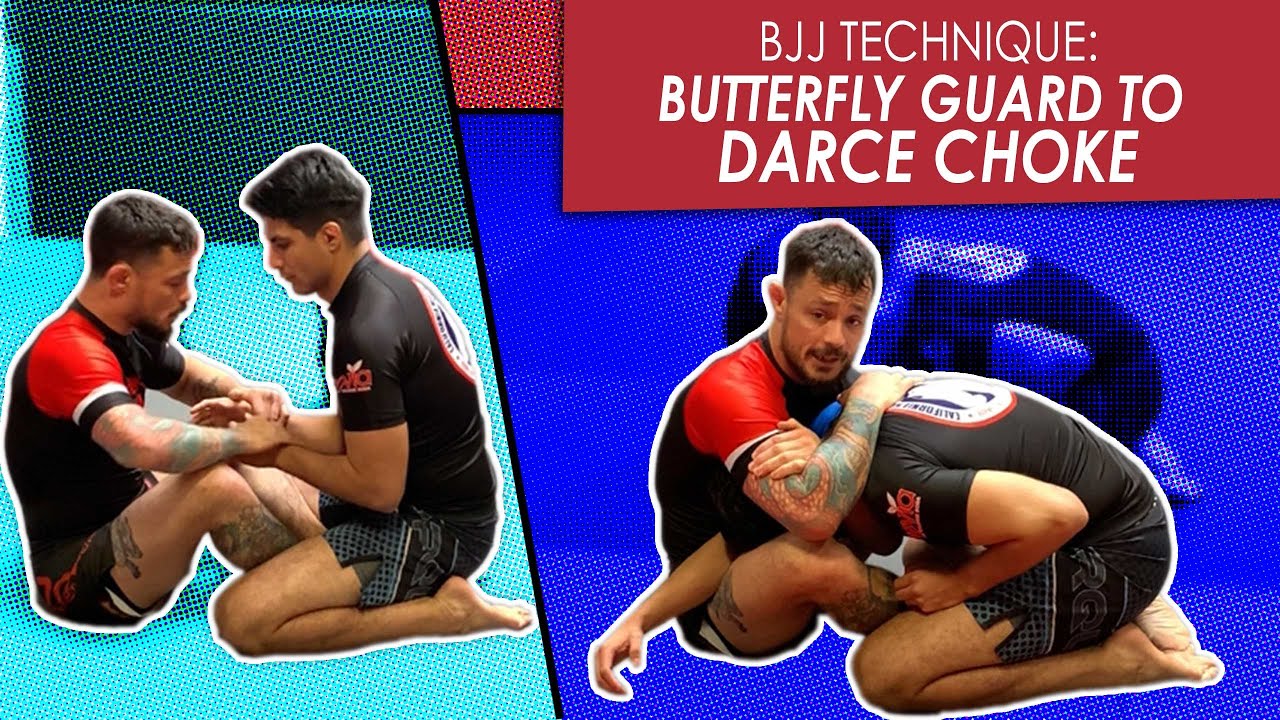 Butterfly Guard Attacking the Darce choke Jiu Jitsu technique YouTube