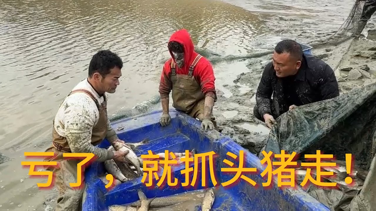 亏了抓头猪走！结果淤泥陷人！我们栽在了第一关…