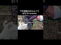 ヤギ頭いいんかアホなんかわからんwww #日常 #ヤギ #動物 #goat
