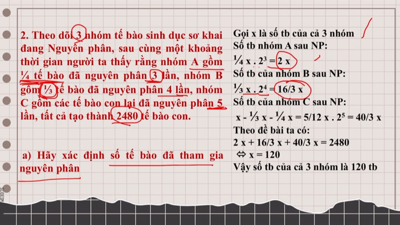 Ôn thi hsg sinh học | bài tập Nguyên phân - Giảm phân - Thụ tinh nâng cao (phần 2)