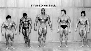 Heights Part 2: Arnold Schwarzenegger vs Sergio Oliva, Franco Columbu, and Serge Nubret