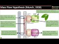 Translocation of Solutes in Plants? Mass Flow Hypothesis simplified in 6 steps|| BiologyExams4u