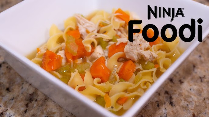 Ninja Foodi Blender & Soup Maker HB150 – Flemings department store