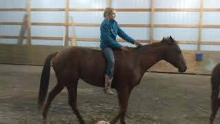 Standing bareback, bridleless fun with Ruby - Chargin A Fortune