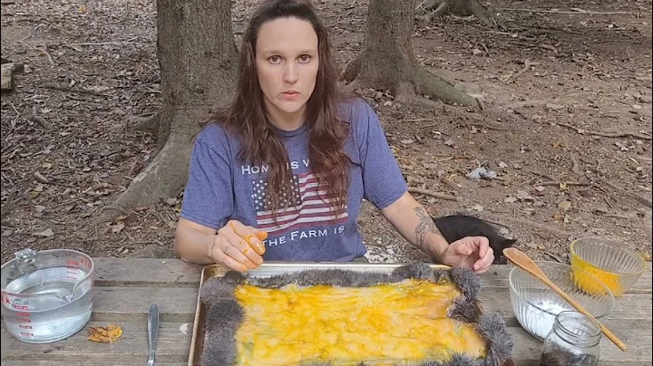 Salt and Egg tanning for rabbit hide#homestead #rabbit #mamawarrior