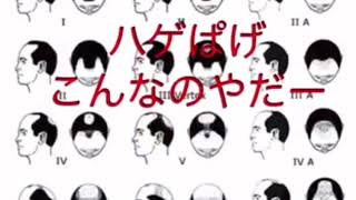 ハゲの歌