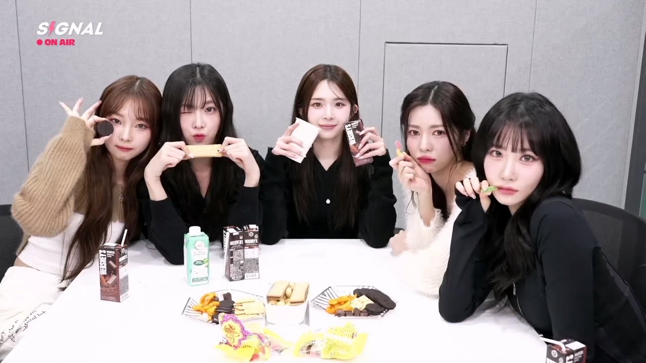 240222 나경 다현 코토네 니엔 하연 라이브 하겠습니다 | tripleS SIGNAL LIVE