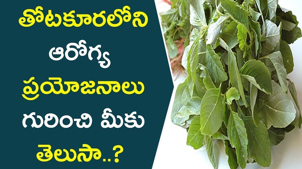 తోటకూరలోని ఆరోగ్య ప్రయోజనాలు గురించి మీకు తెలుసా..? || Natural Healthy Benefits Of Amaranth leaves glowing skin captions