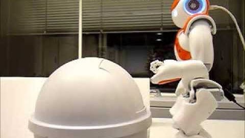 A humanoid robot NAO learns affordances during garbage disposal tasks