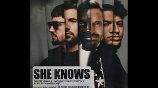 Dimitri Vegas & Like Mike x David Guetta x Afro Bros - She Knows (with Akon) [Extended Mix] Resimi